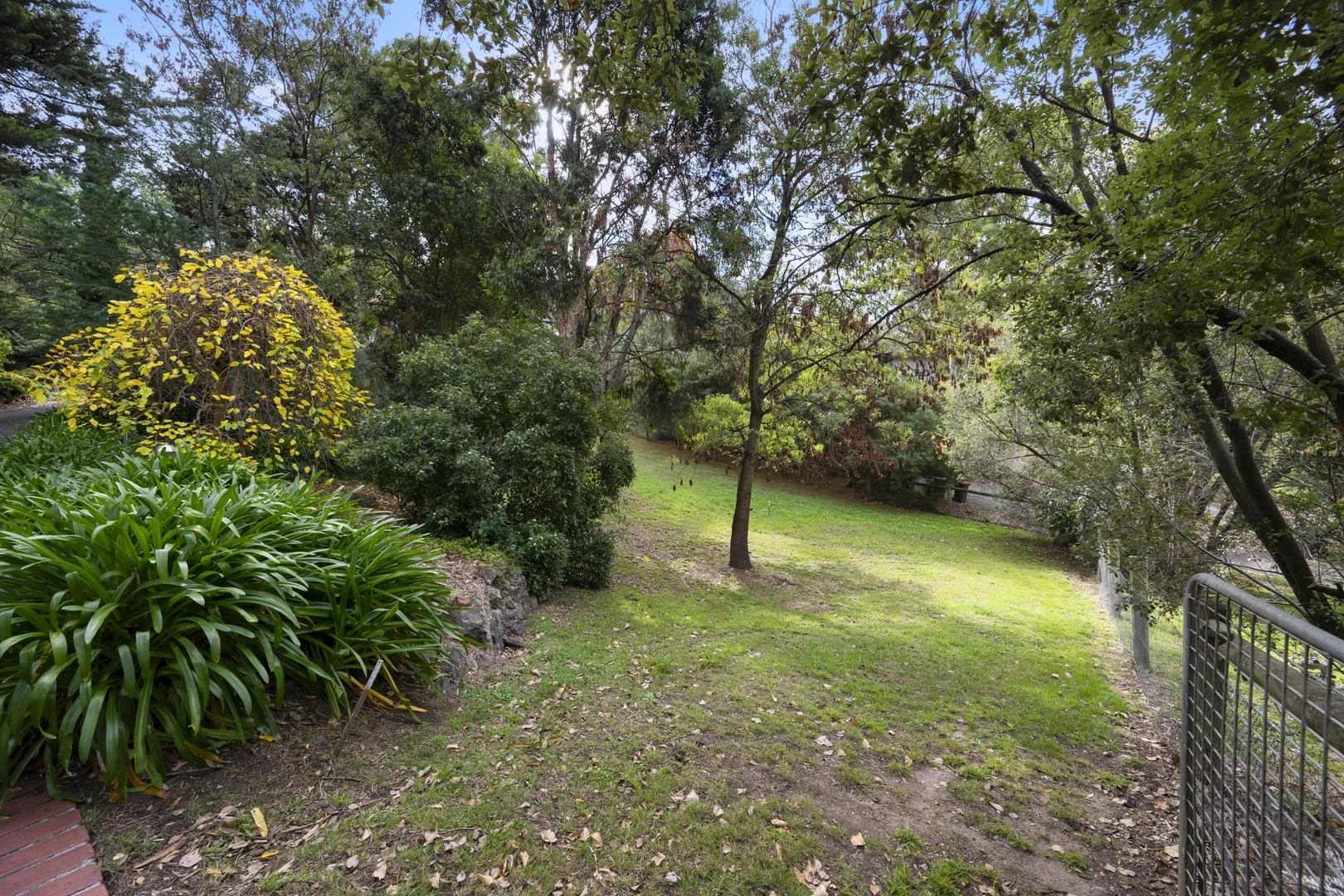 Image 10