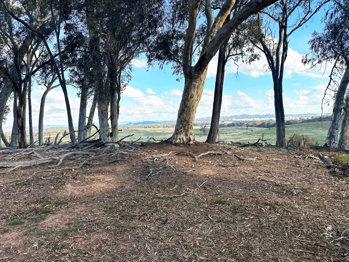 Additional image 5 of 1277 Cheviot Hills Road, Wagga Wagga NSW 2650