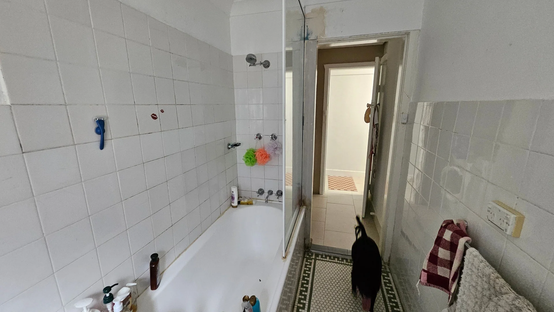 Additional image 6 of UNIT 2/40 Oakley Road, North Bondi NSW 2026