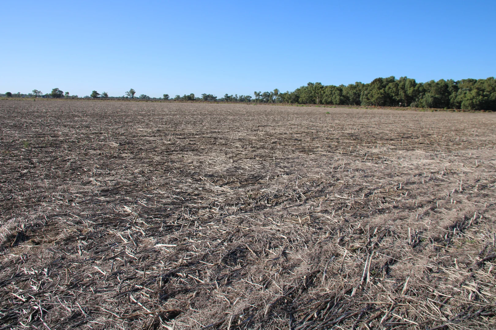 Additional image 25 of 20841 Kamilaroi Highway, Narrabri NSW 2390