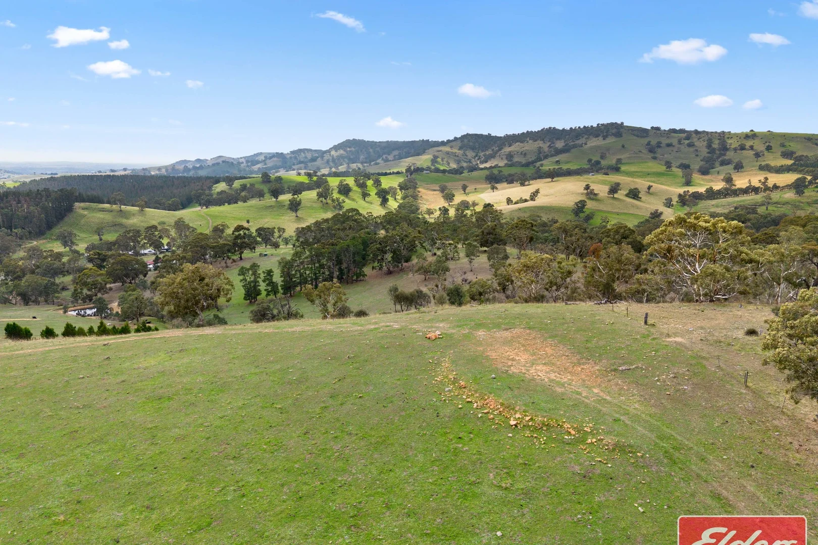 Additional image 35 of 36 Springton Road, Williamstown SA 5351