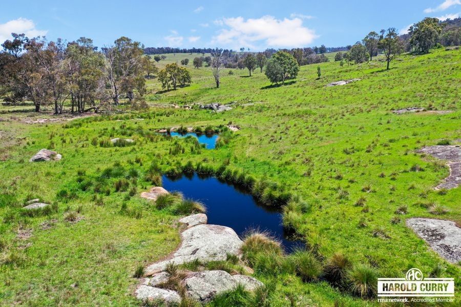 517B Bungulla Platform Road, Tenterfield NSW 2372, Image 2