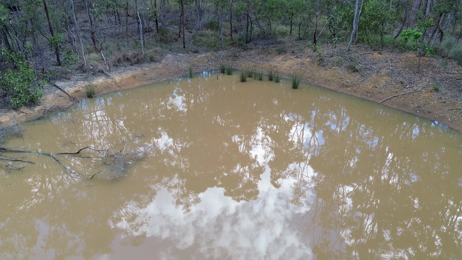 Additional image 9 of 522 Wattle Camp Road, Wattle Camp QLD 4615