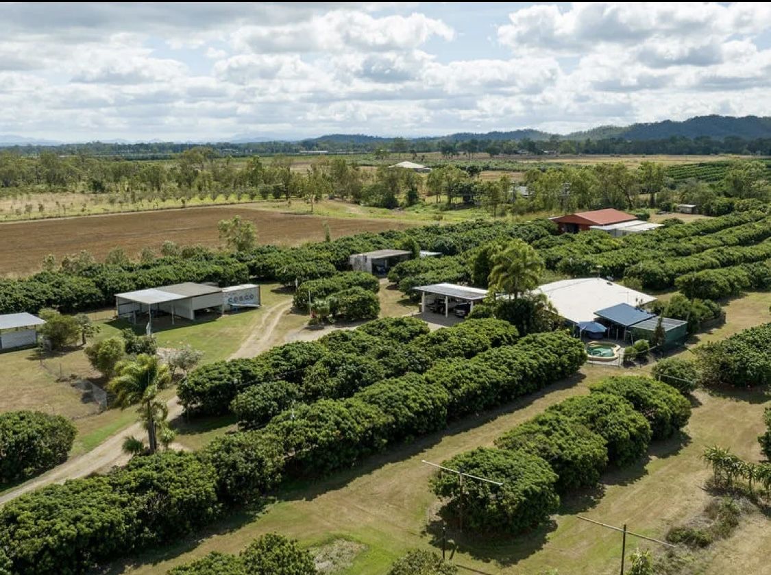 209 Malone Road, Mareeba QLD 4880 House for Sale Domain