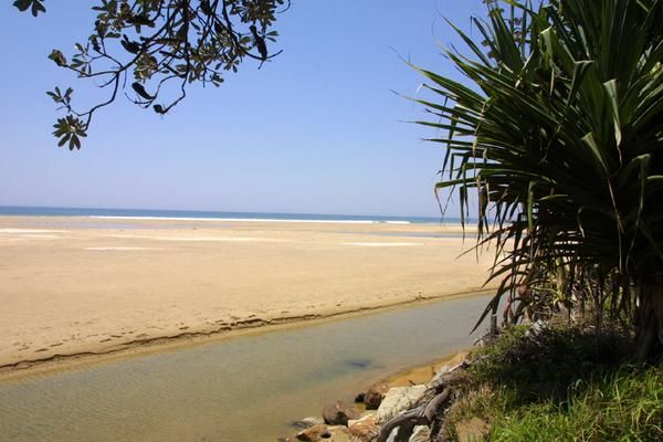 Ocean Road, Brooms Head NSW 2463, Image 2