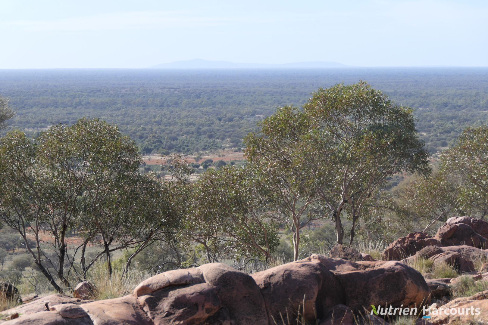 * Iona, Cobar NSW 2835, Image 2