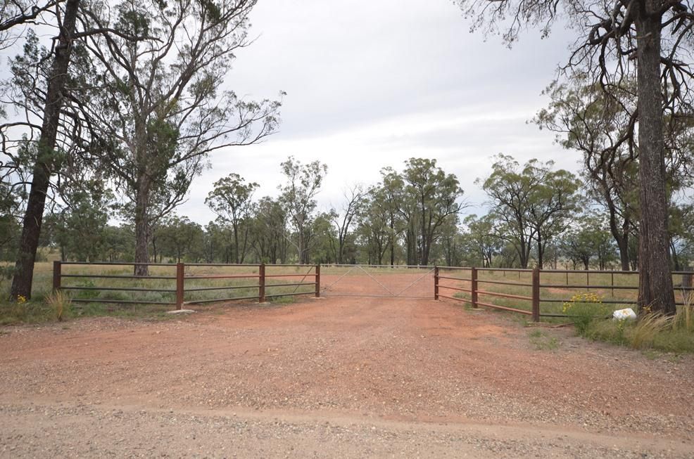 1138 Caloola Road, Boggabri Property History & Address Research Domain