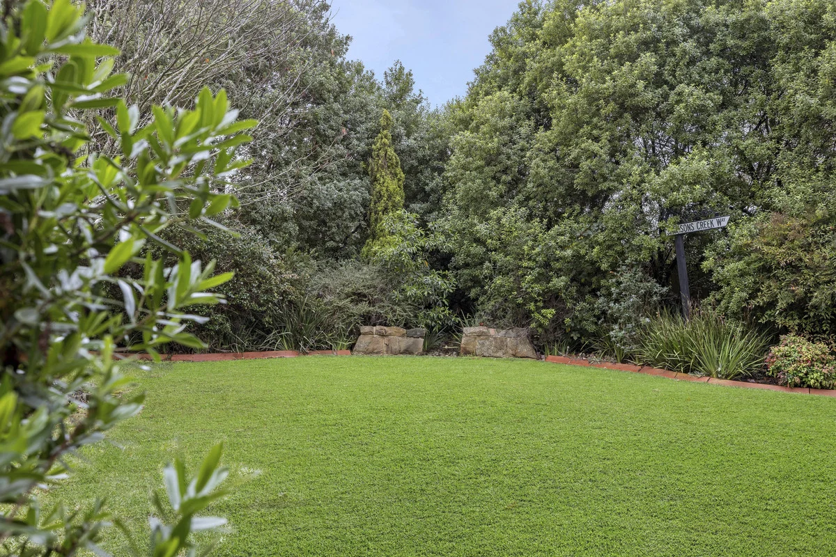 Image 20