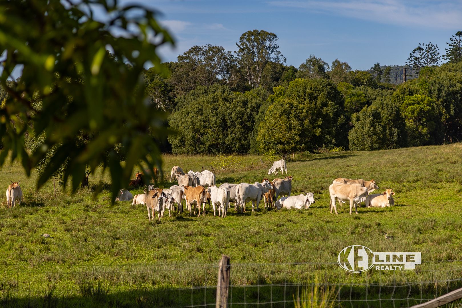 154 Strong Lane, Eerwah Vale QLD 4562 House for Sale 1,550,000