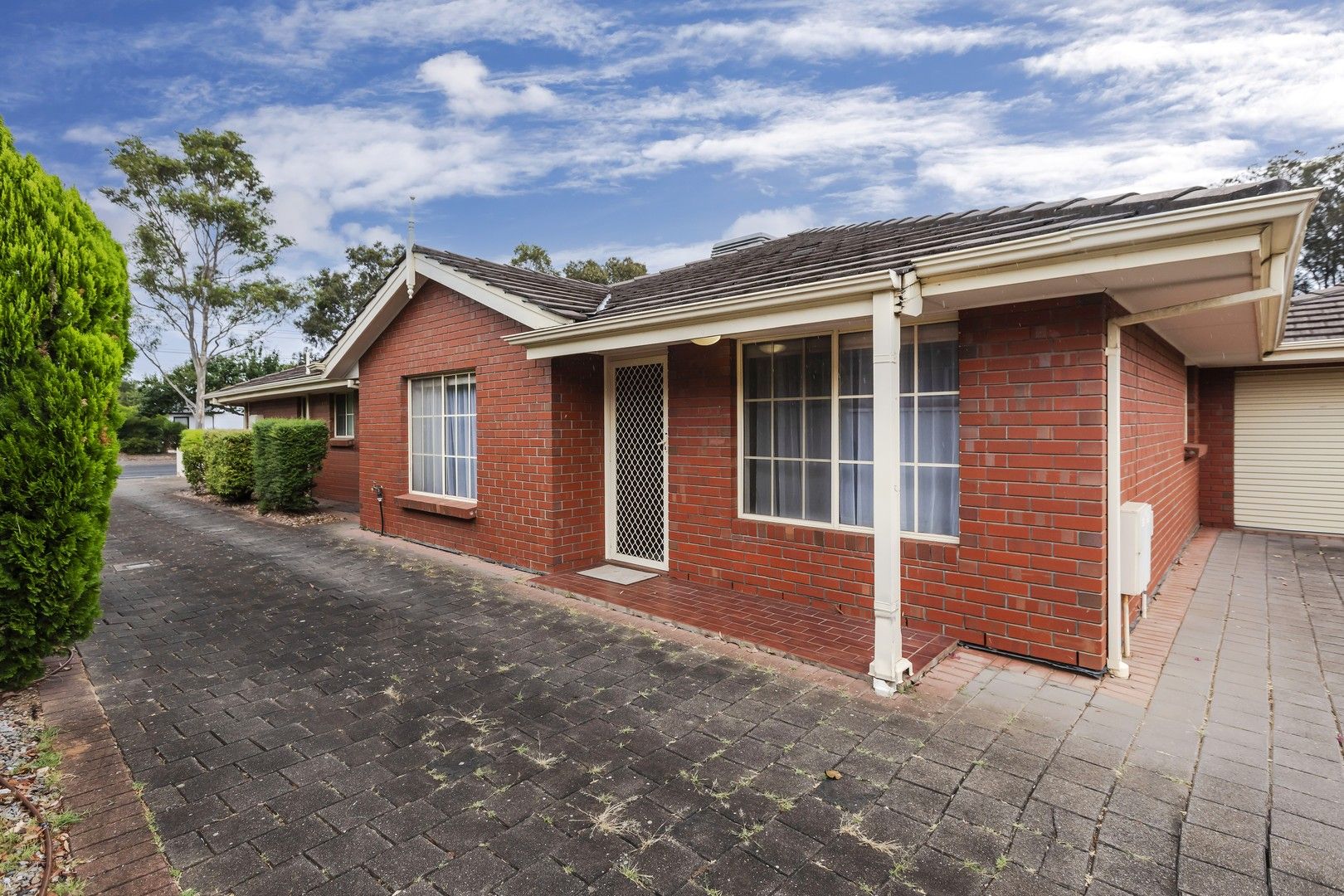 2/566 Cross Road, South Plympton SA 5038 Apartment For Rent Domain