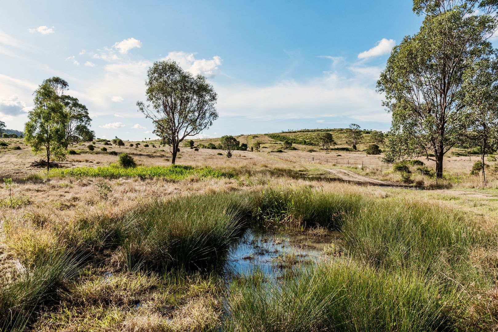 80 Dunnetts Road, Machine Creek QLD 4695, Image 2