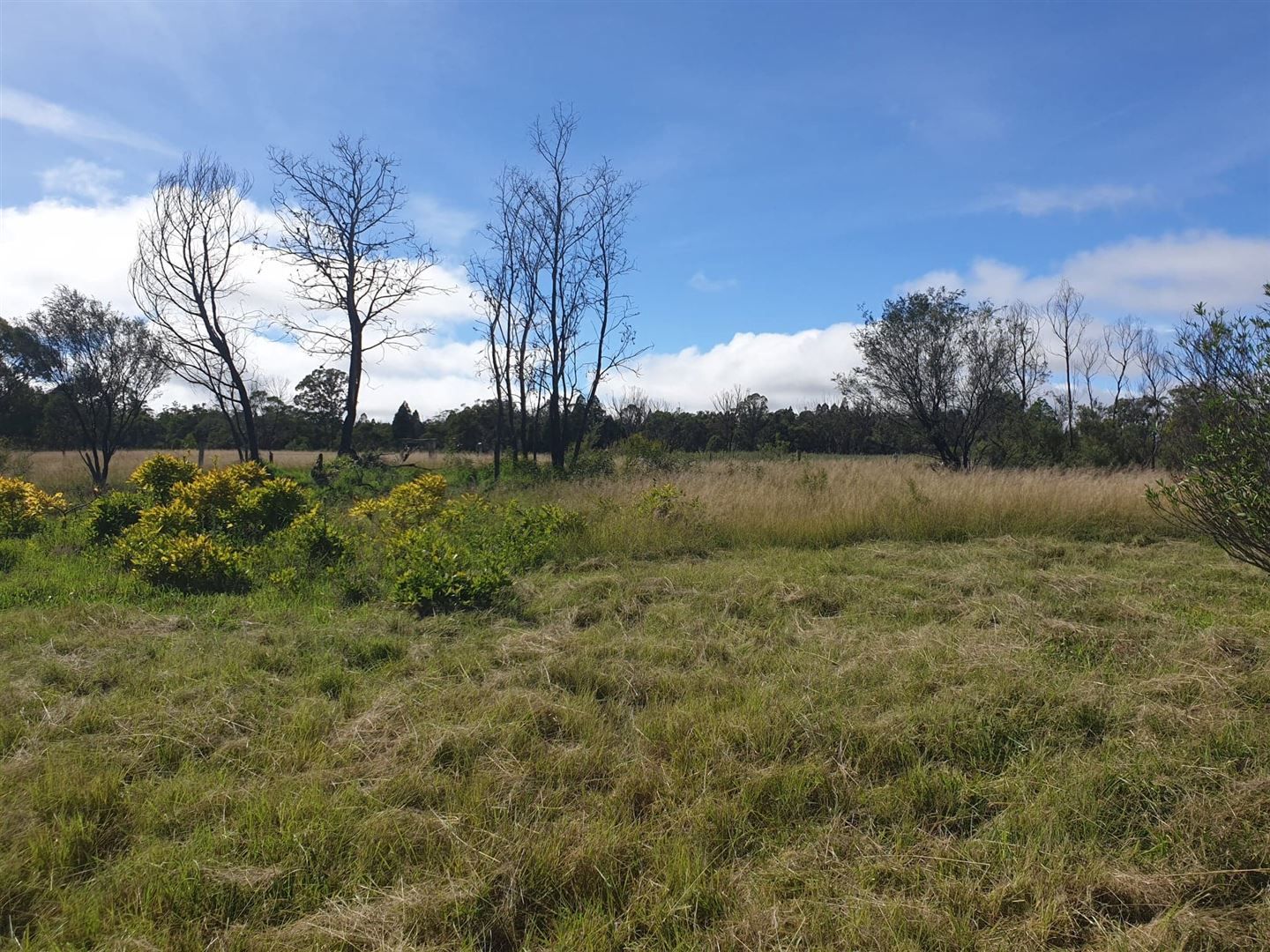 Lot 170 Amiens Road, Amiens QLD 4380, Image 2