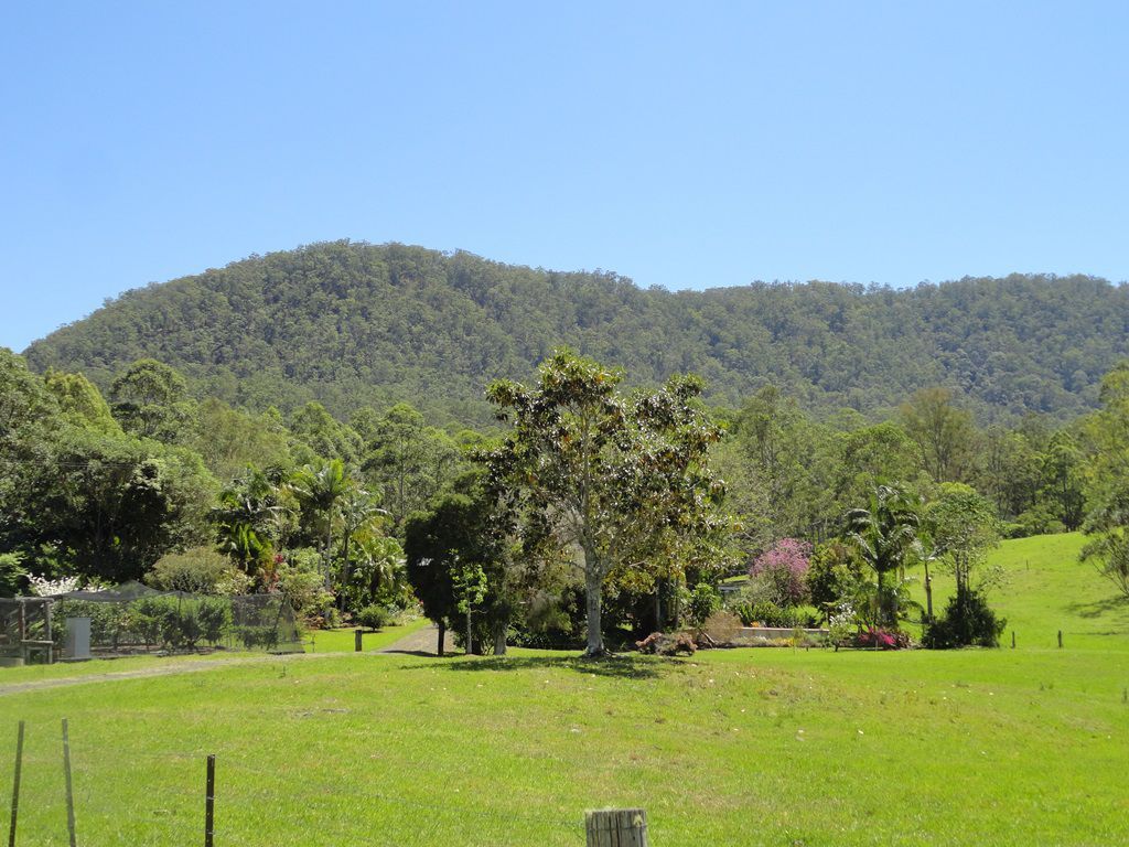 1125 Green Pigeon Road, Kyogle NSW 2474, Image 2