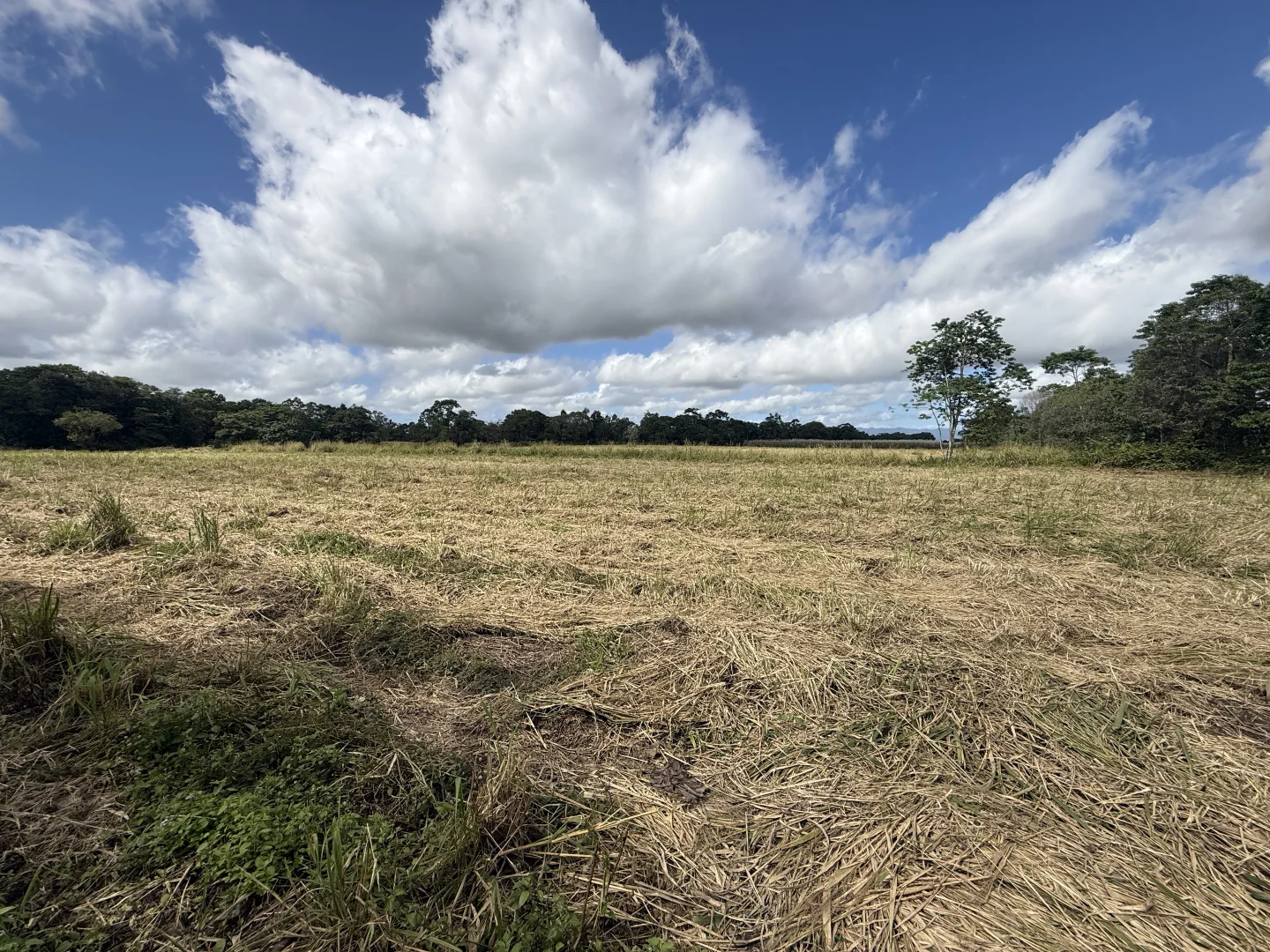 Image 20