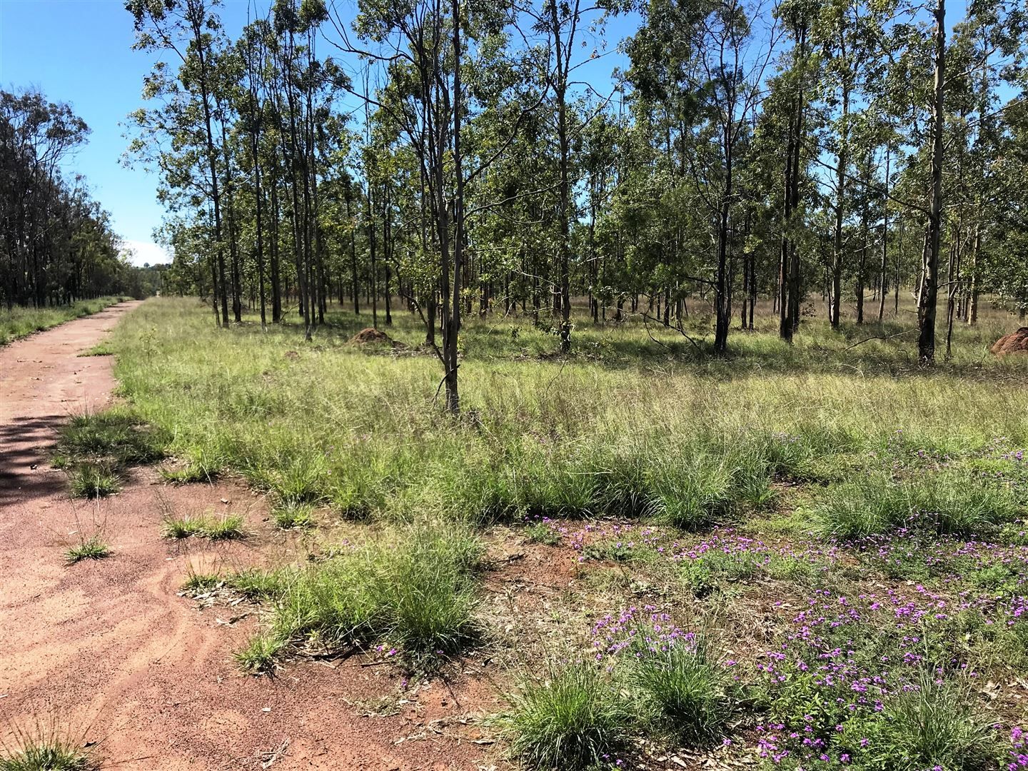 Lot 2 Reedy Creek Road, Kingaroy QLD 4610, Image 2