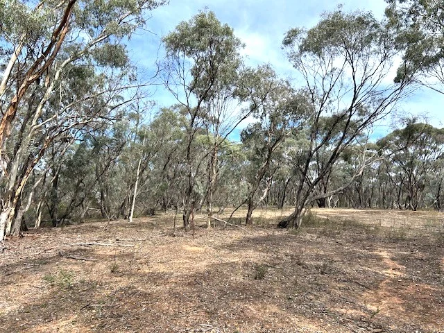 Additional image 4 of 0 Wycheproof Road, St Arnaud VIC 3478