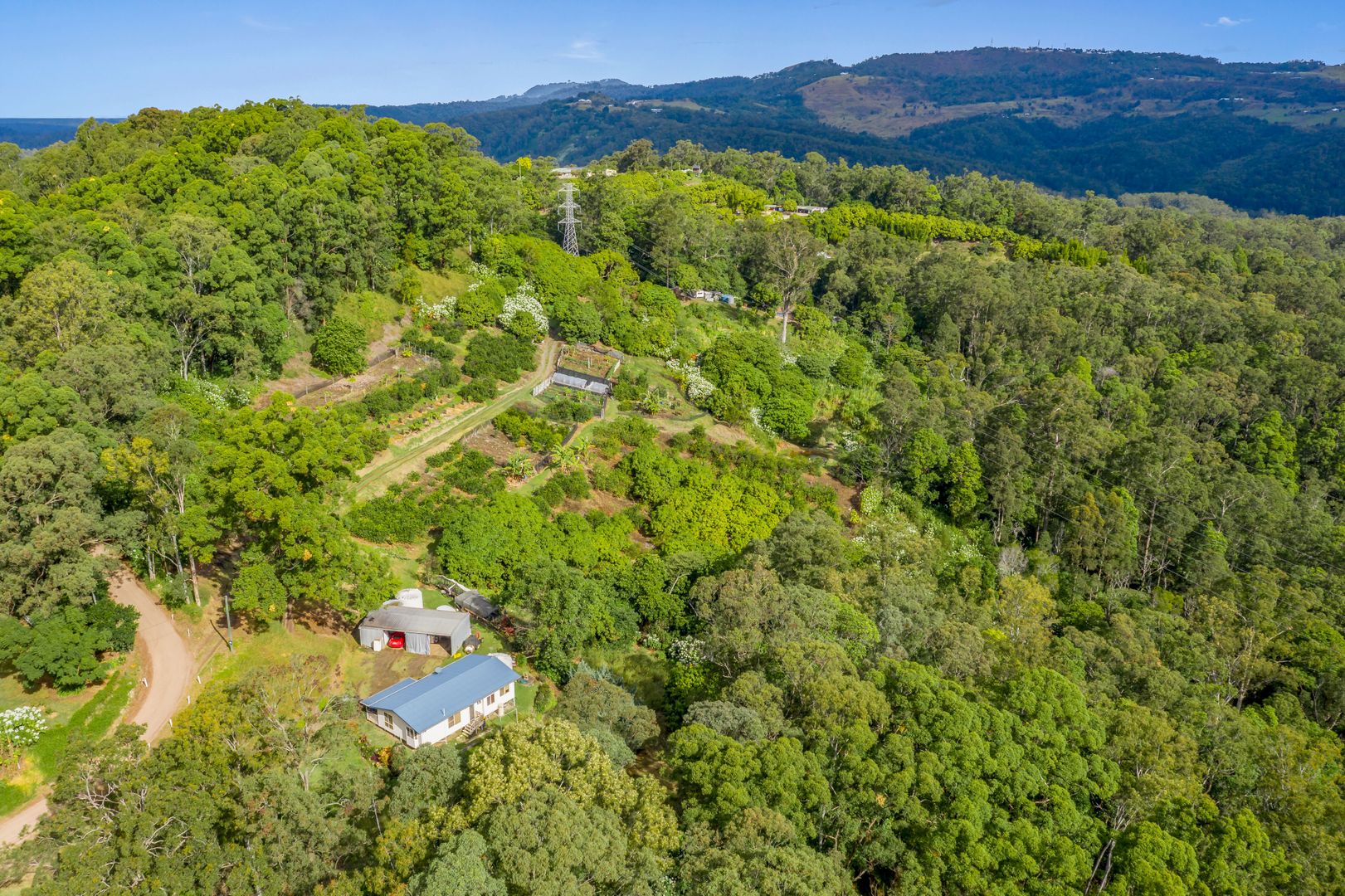 272 Mossybank Road, Eudlo QLD 4554 House for Sale Domain