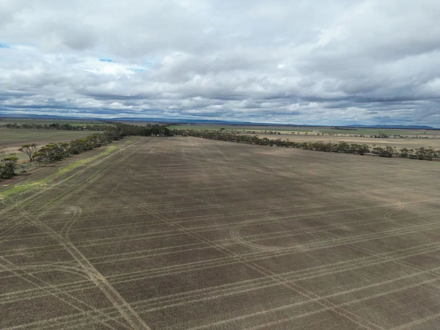 Additional image 4 of A2 Bute Road, Willamulka SA 5554