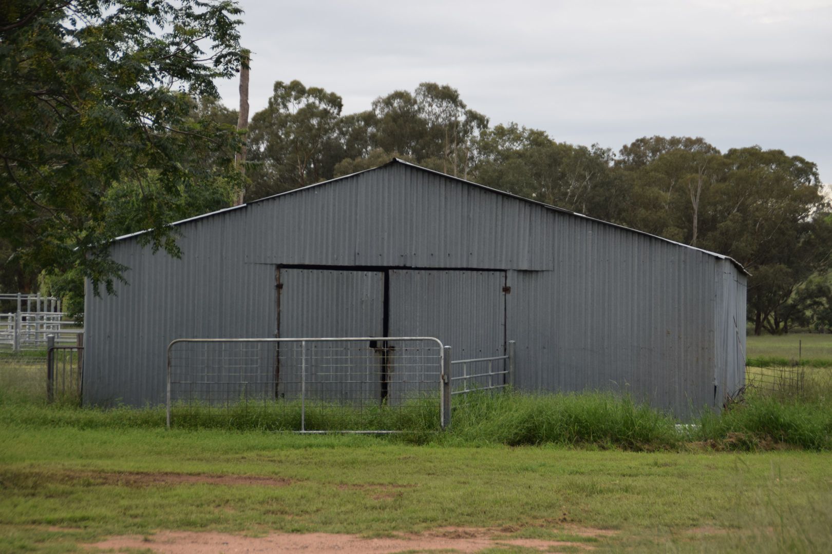 'Appletree Flat' 1864 Castlereagh Hwy, Mendooran NSW 2842, Image 2