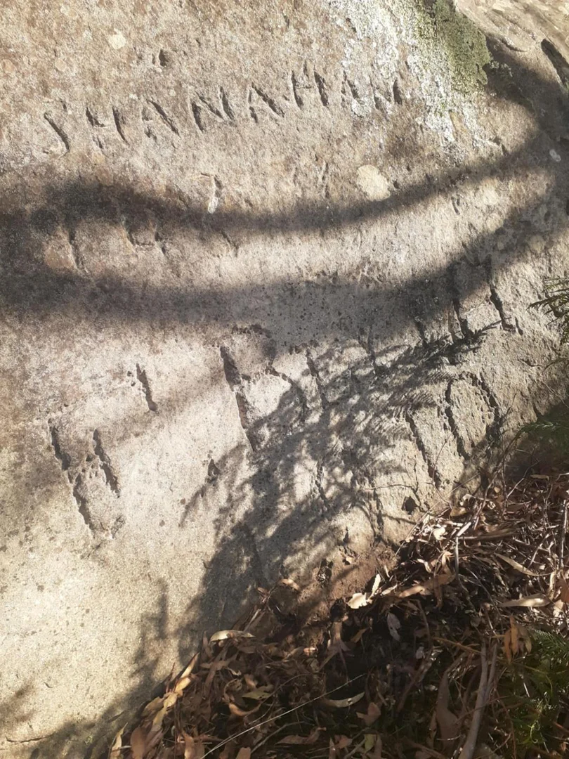 Image 12