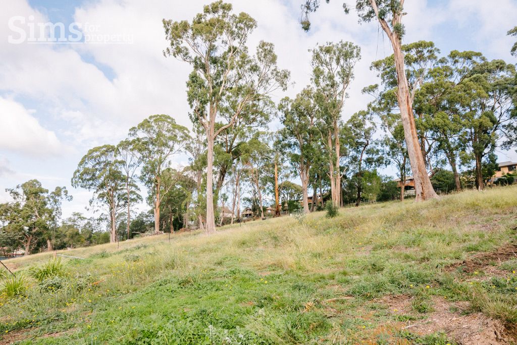 Lot 3 Jinglers Drive, Youngtown TAS 7249, Image 2