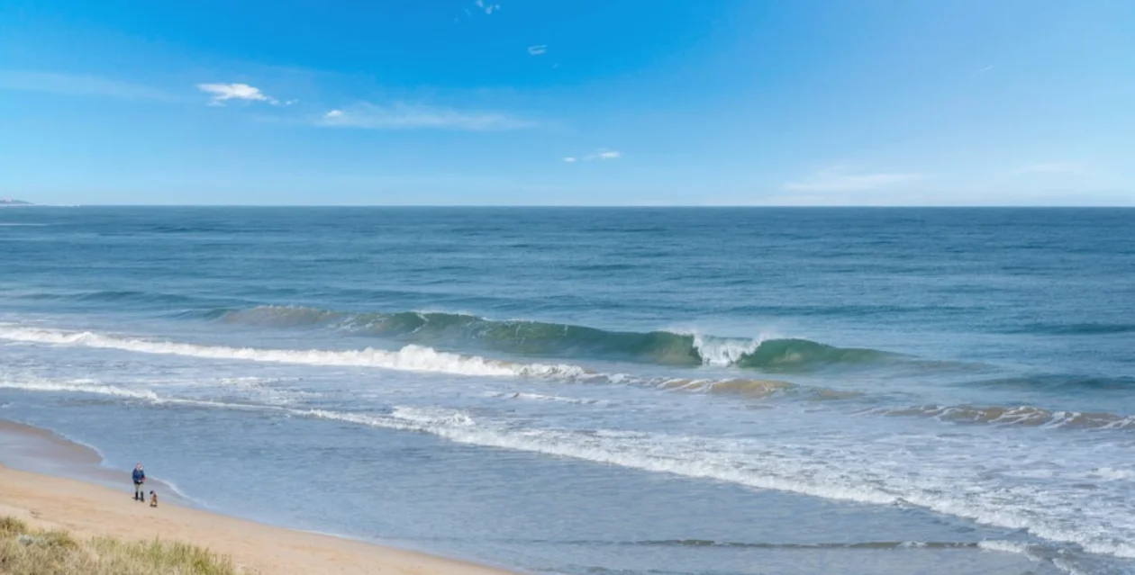 Additional image 31 of 1/36 Shayne Street, Halls Head WA 6210