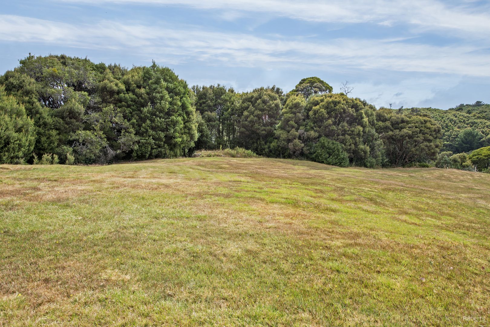 115 Main Street, Zeehan TAS 7469, Image 1