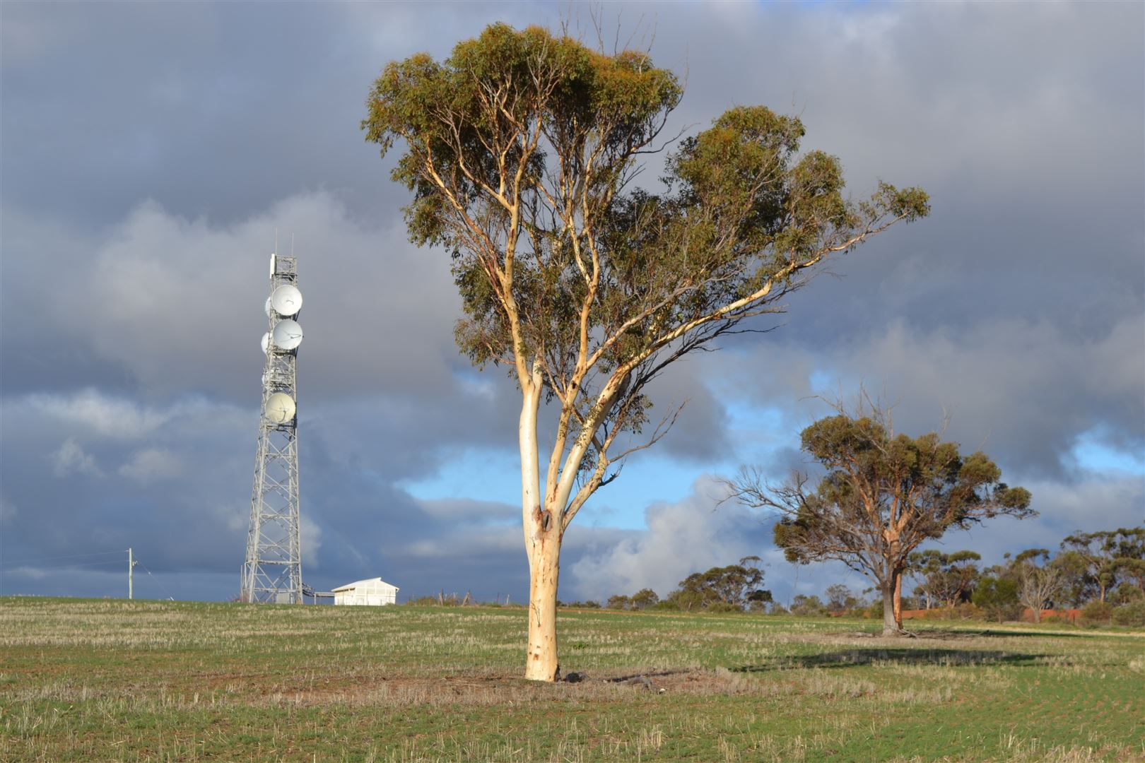 . 'The Tower Block', Tammin WA 6409, Image 2