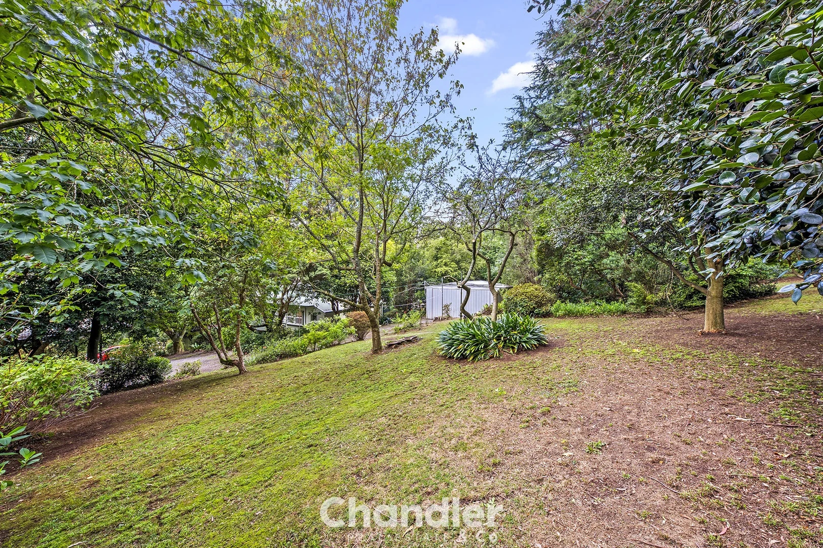 Additional image 16 of 533-535 Mt Dandenong Tourist Road, Olinda VIC 3788