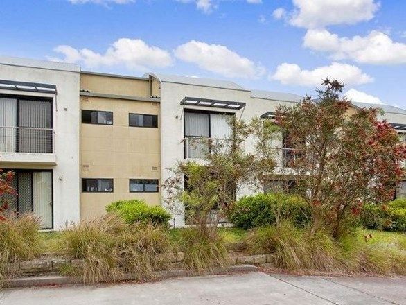 2 bedrooms Apartment / Unit / Flat in 16/14 Federal Parade BROOKVALE NSW, 2100