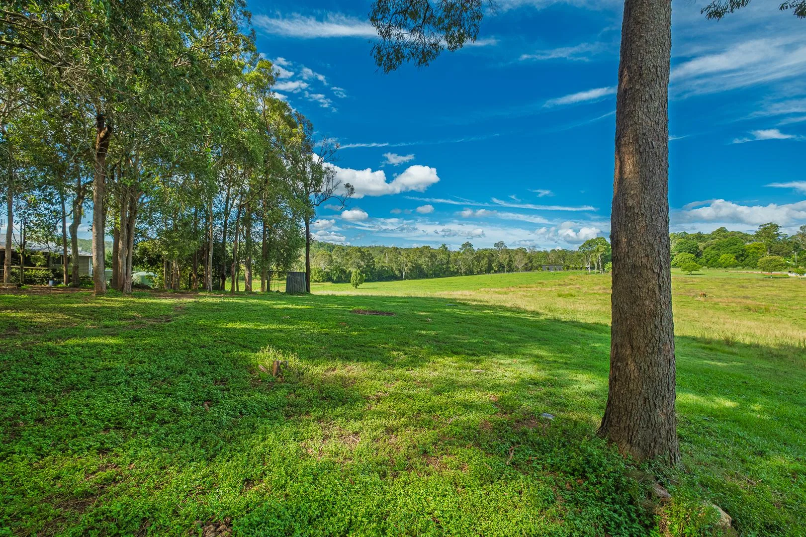 Additional image 39 of 40 McGinn Road, Gheerulla QLD 4574