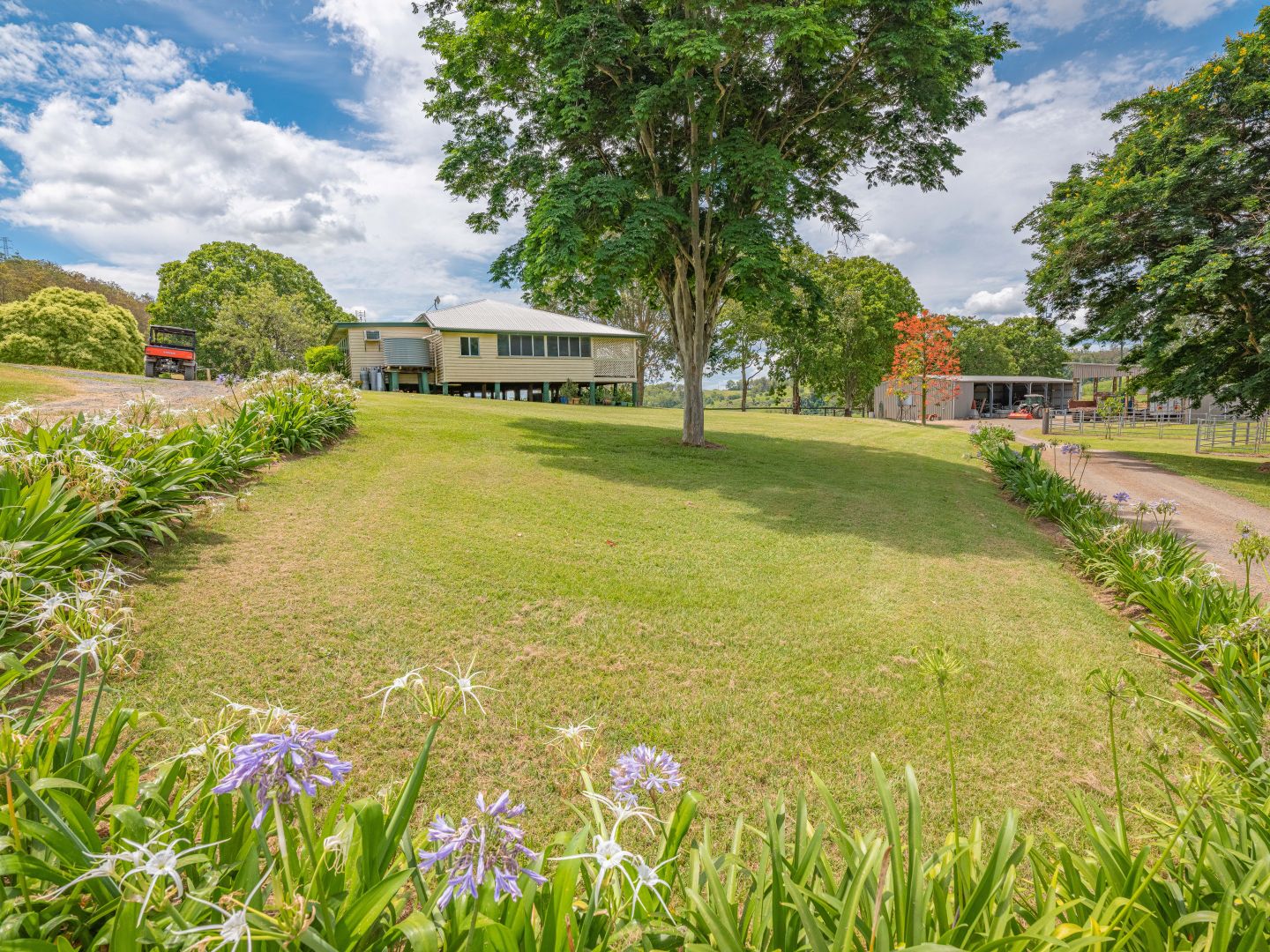 213 Briere Road, The Palms QLD 4570, Image 2