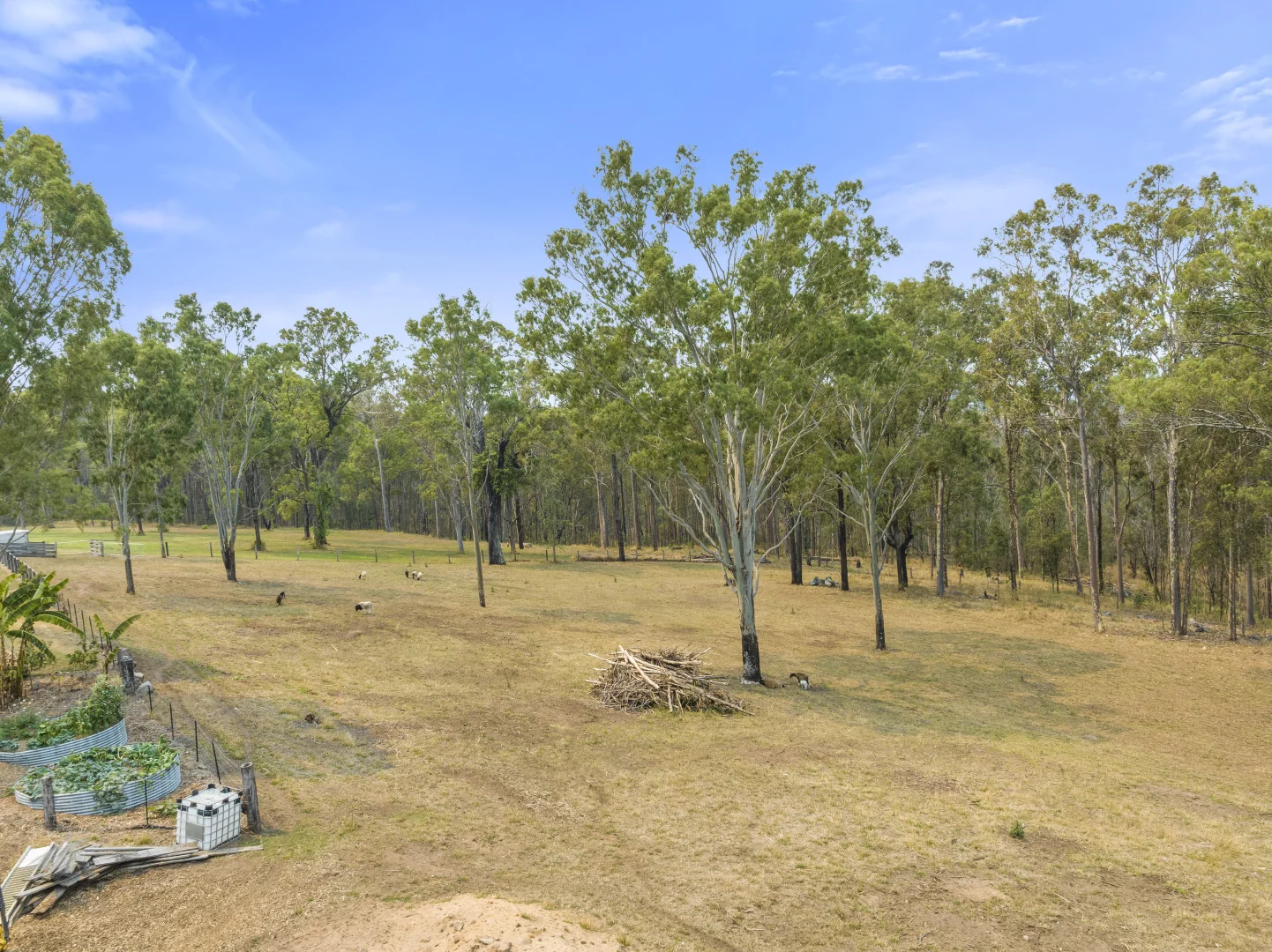 Additional image 31 of 128 Birnam Range Road, Beaudesert QLD 4285
