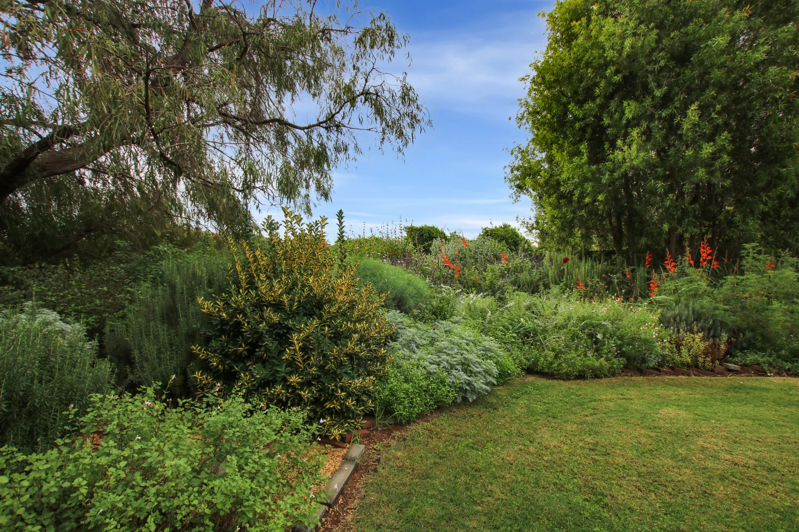 Image 25