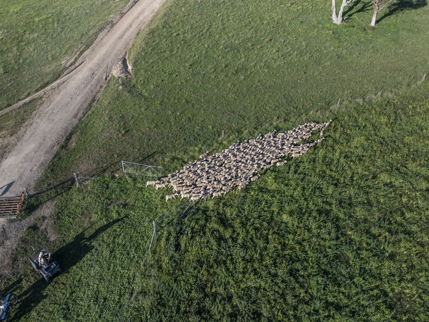 Additional image 9 of Tarana NSW 2787