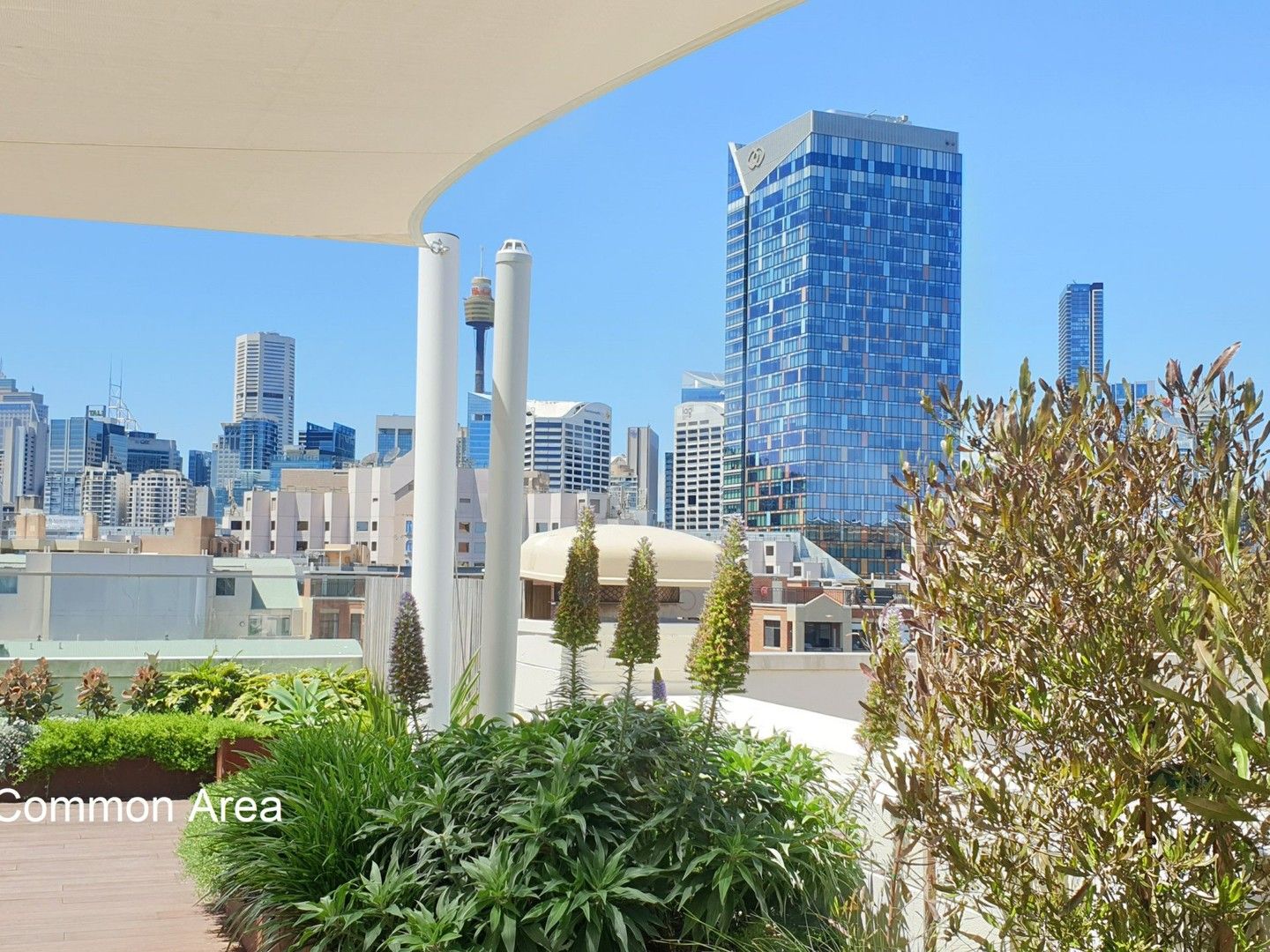 2 bedrooms Apartment / Unit / Flat in L733/233 Harris Street PYRMONT NSW, 2009