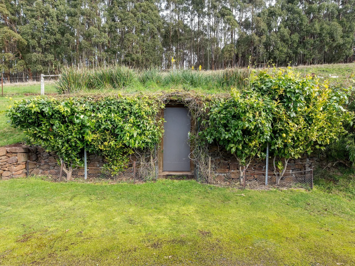 Image 24