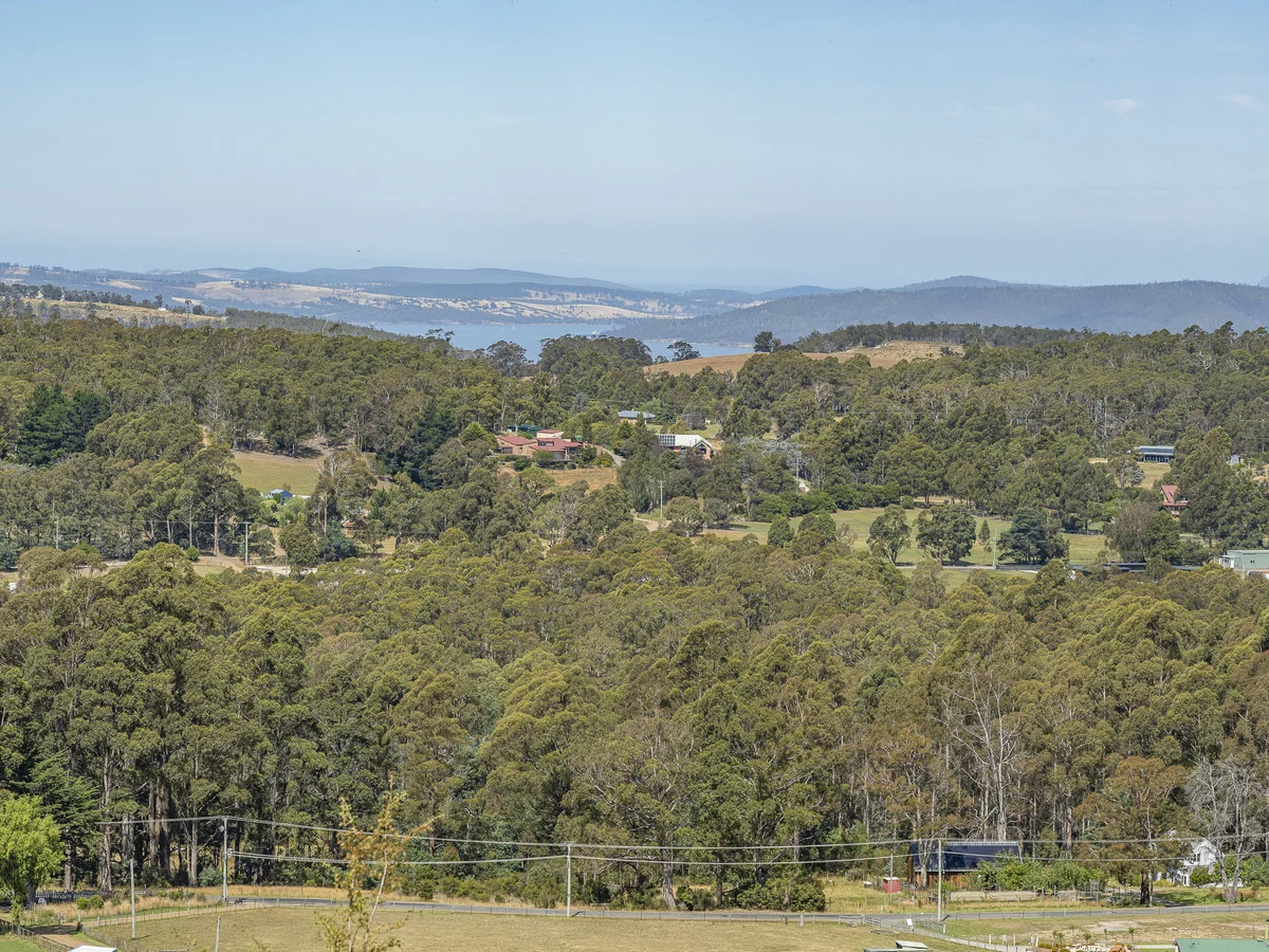Image 13