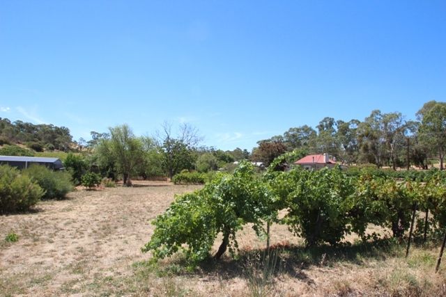 Lot 3 Horrocks Road, Penwortham SA 5453, Image 0