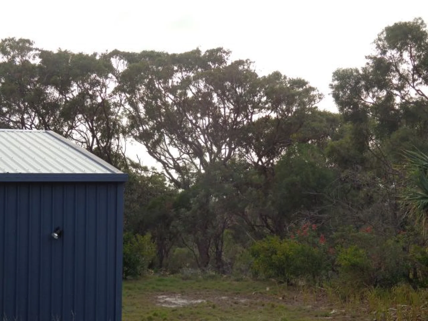 Image 14