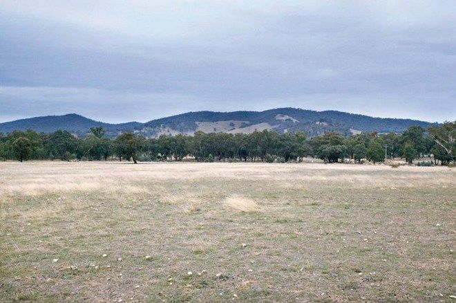 Picture of Lot 169a Harrisons Back Road, MOONAMBEL VIC 3478
