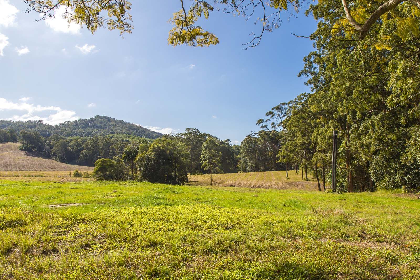 32 Dunne Road, Glenview QLD 4553 Domain