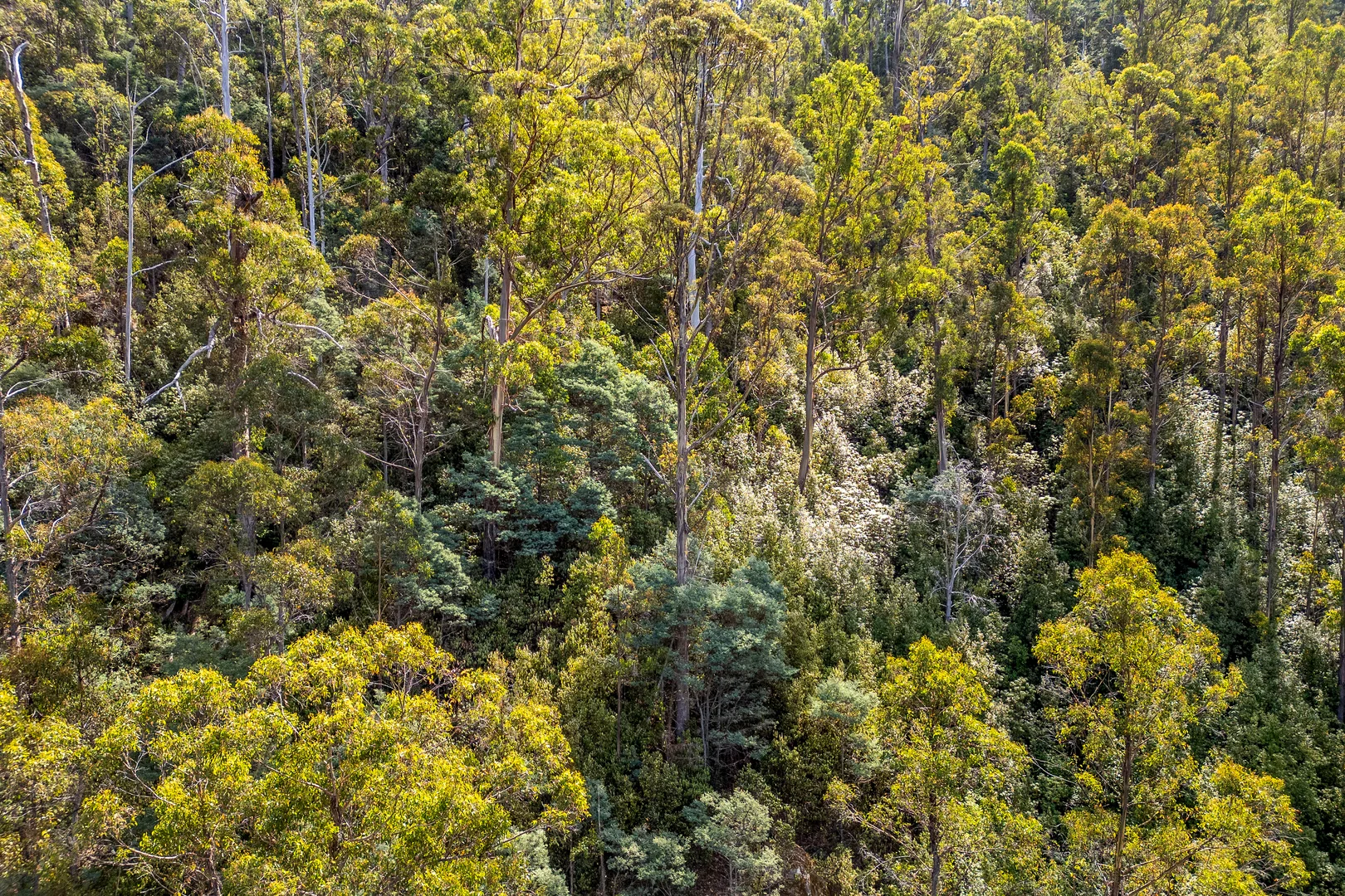 Image 18