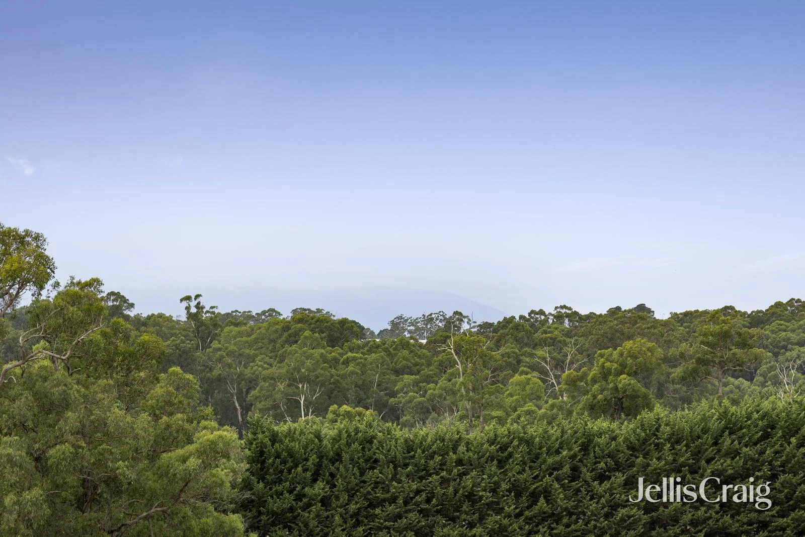 Additional image 28 of 150 Monbulk-Seville Road, Silvan VIC 3795