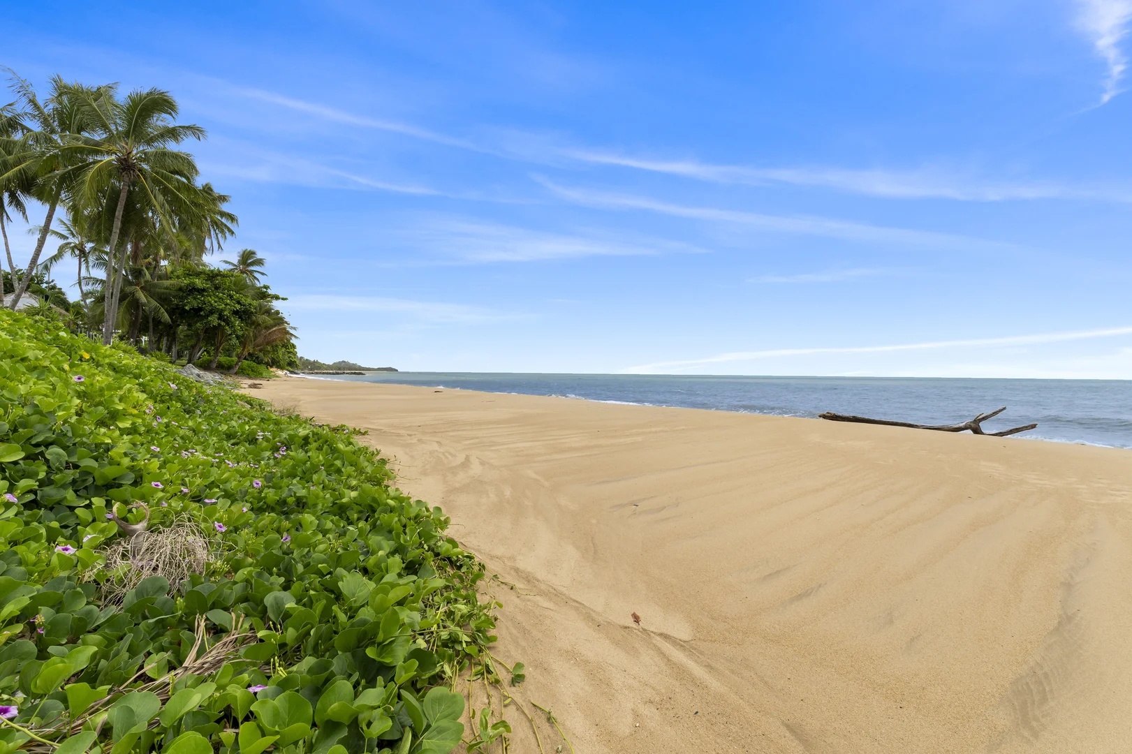 Additional image 10 of 5 Hibiscus Lane, Holloways Beach QLD 4878
