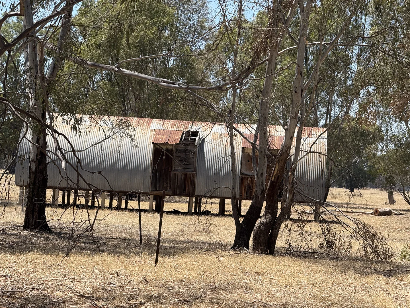 Image 14