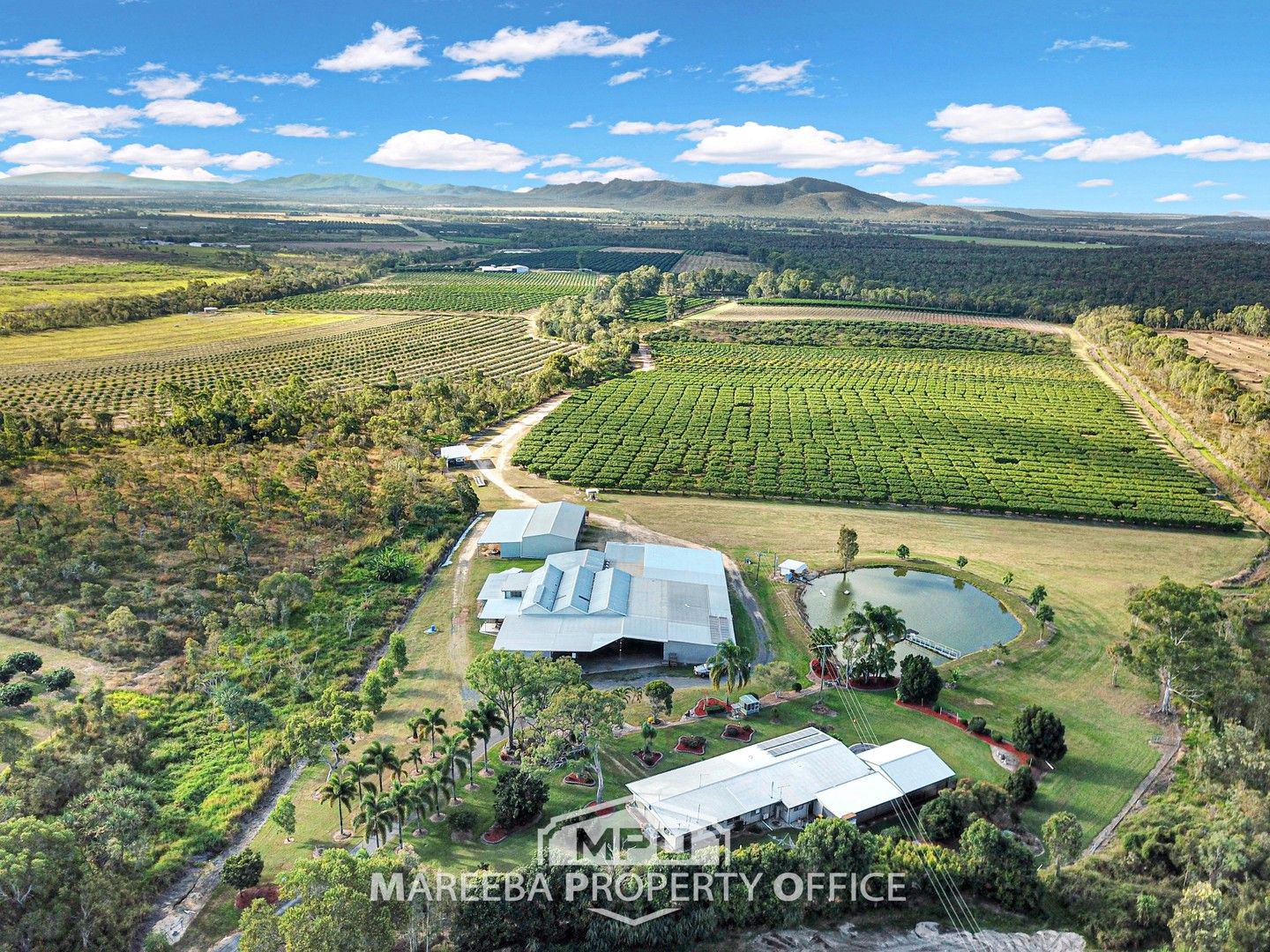 111 McLeod Road, Mutchilba QLD 4872 House for Sale Domain