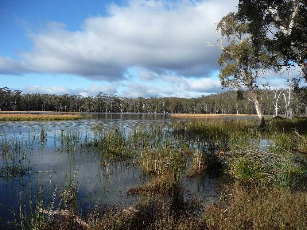 Lot 1 Lake Leake Road, LAKE LEAKE TAS 7210, Image 0