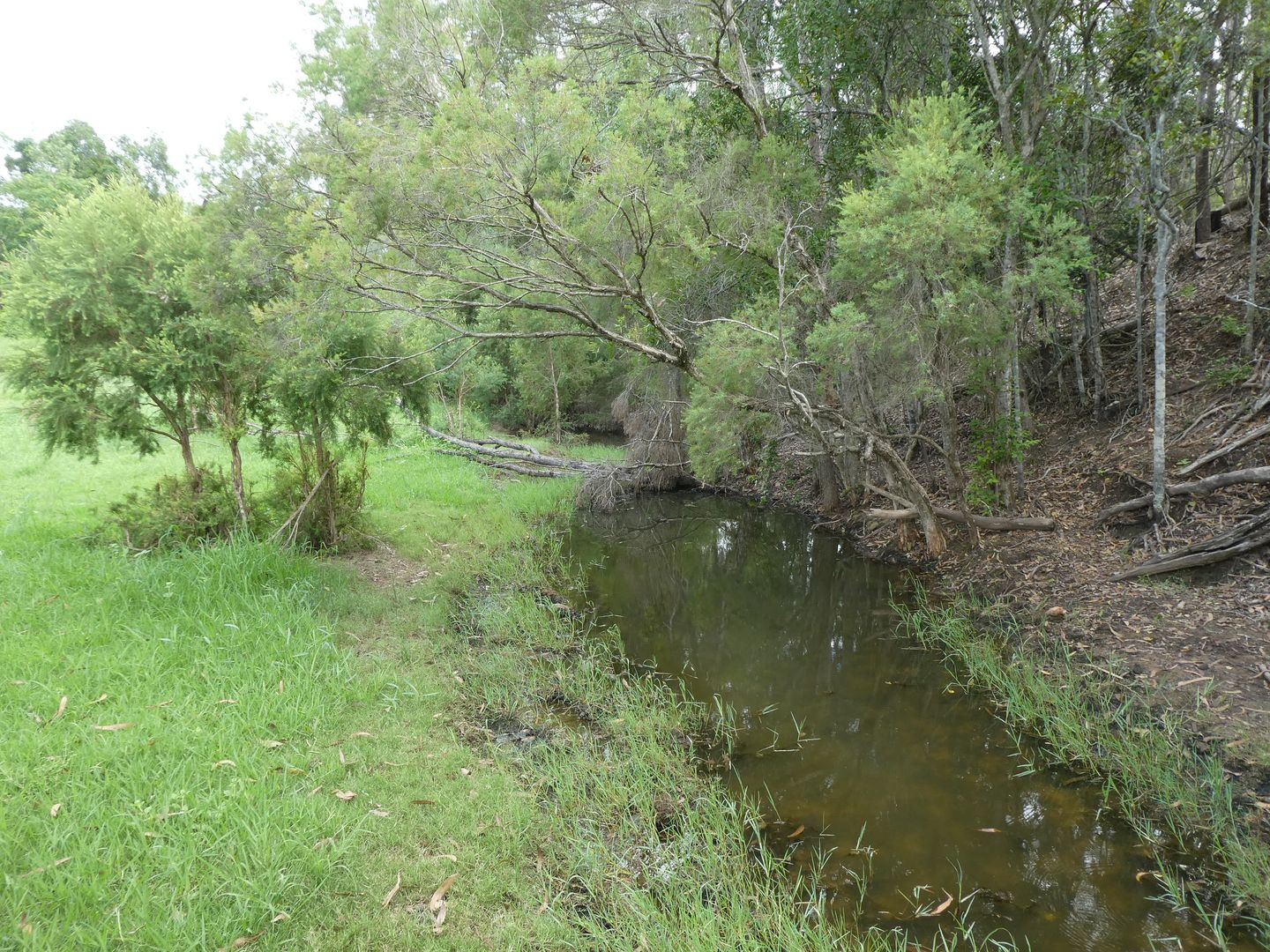 Binjour QLD 4625, Image 2