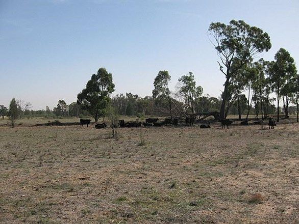 'Double Bar', GOONUMBLA NSW 2870, Image 2